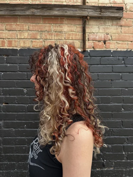 Long Curly Calico Hair with Dark Brown, Auburn, and Blonde