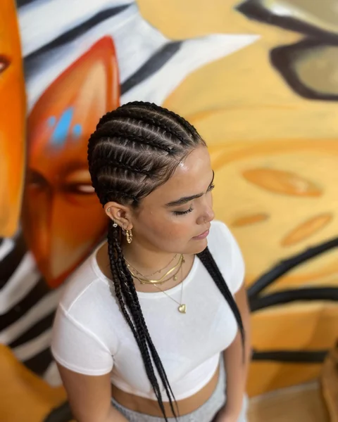 All-Back Cornrows into Two Long Braids