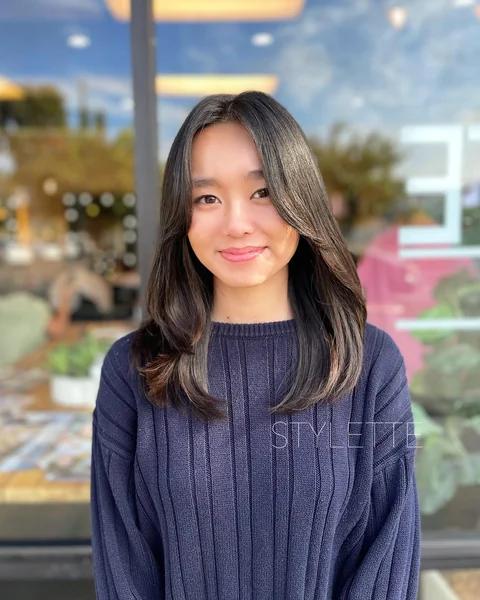 Asian Middle Part Straight Dark Hair