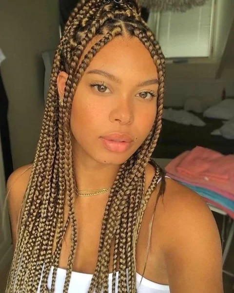 Golden Brown Box Braids with Highlights