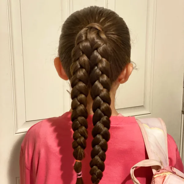 Double Braided Pigtails for School