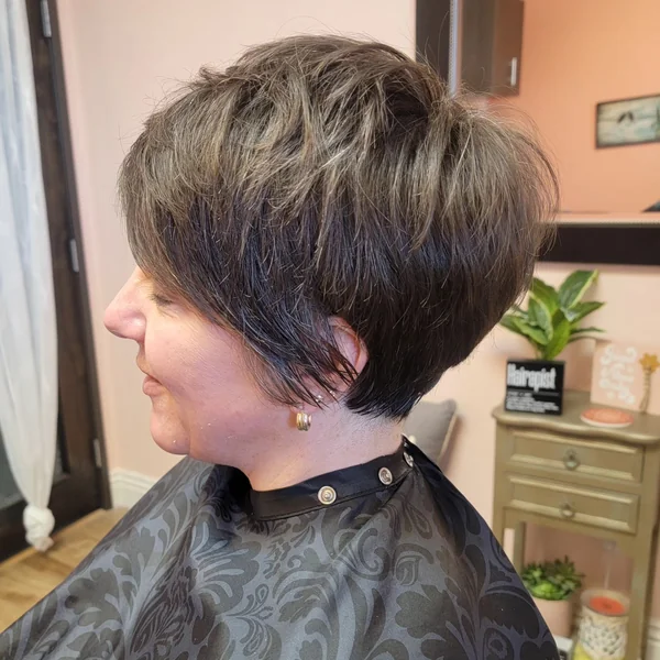 Pixie Bob In-Between Length