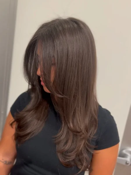 Sleek Layered Haircut for Medium-Long Hair