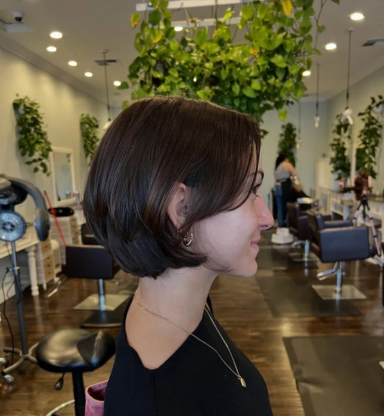 Sleek Chin-Length Blunt Bob