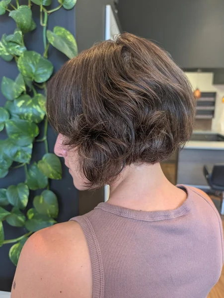 French Bob Haircut Back View