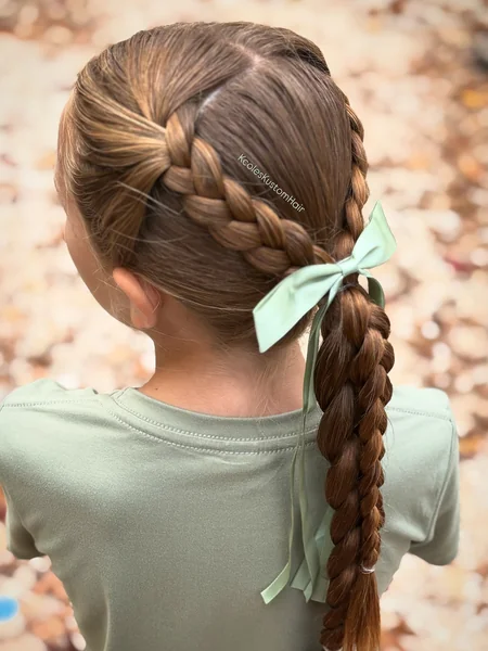 Dutch Braid into Single Braid Ponytail