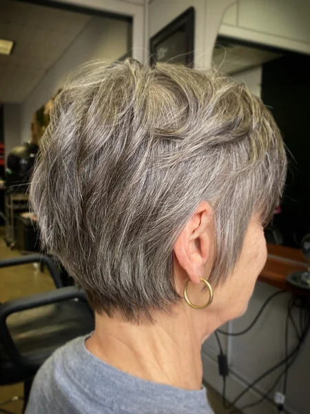 Textured Pixie Bob Back View