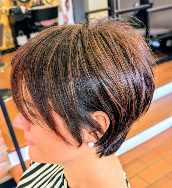 Textured Stacked Pixie Bob