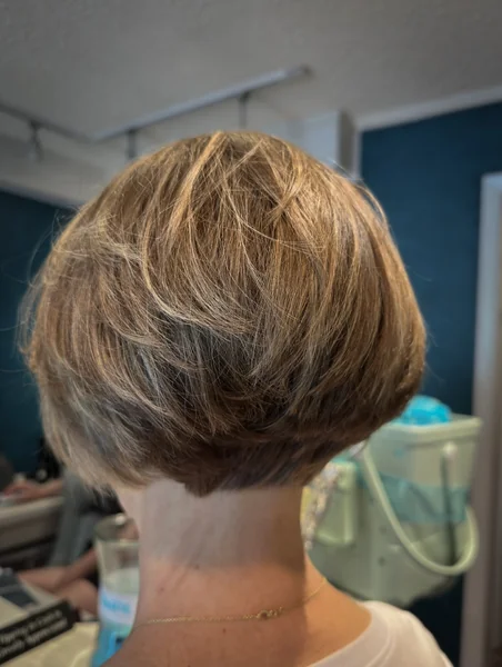 Rounded Bob, Back View Volume