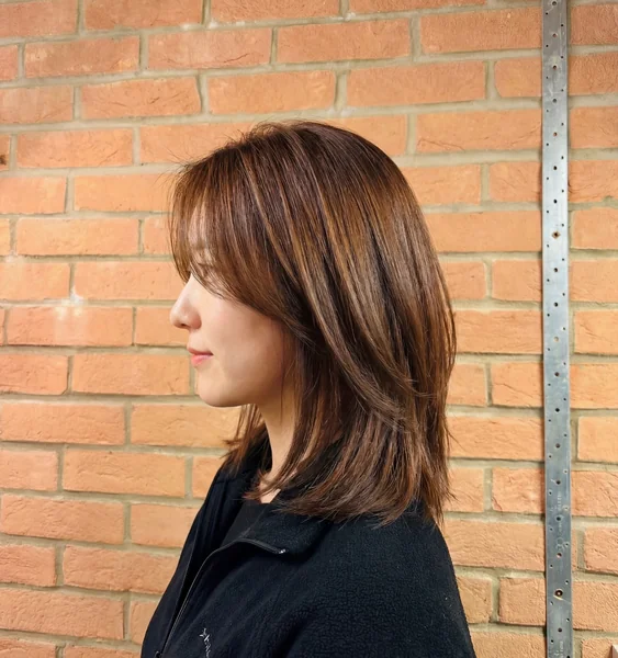 Japanese Shoulder-Length Hairstyle with Highlights