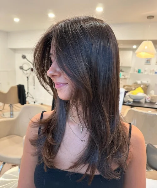 Sleek Straight Brunette with Long Layers