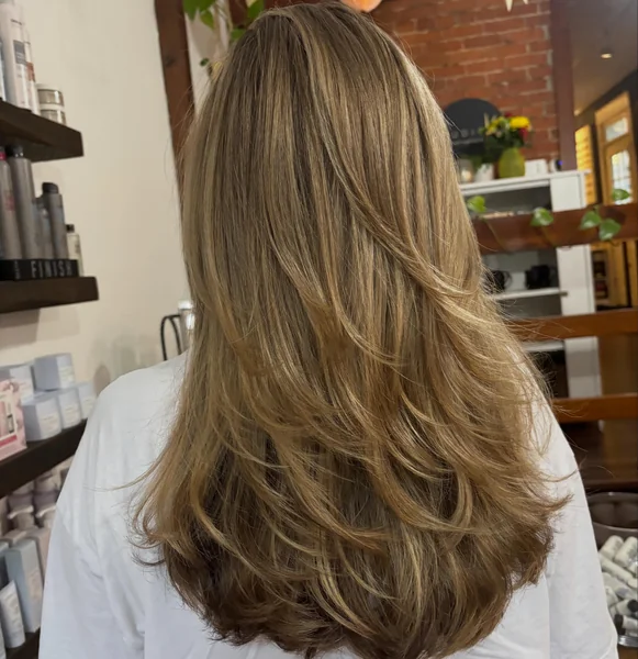 Balayage Butterfly Layers, Back View