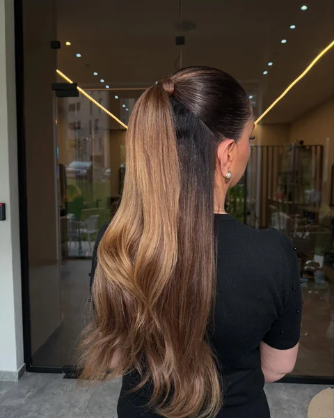 Sleek Half-Up Ponytail