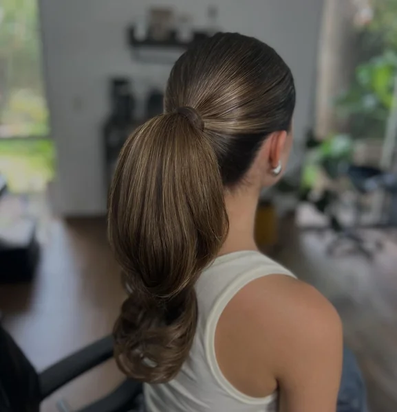Sleek Ponytail with Looped Ends