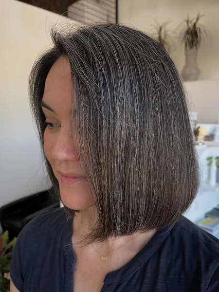 Sleek Salt and Pepper Bob