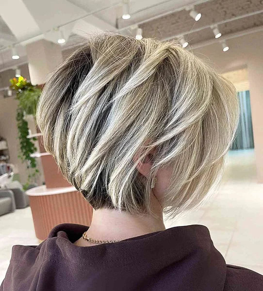 Stacked Blonde Pixie Bob