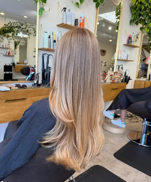 Straight Honey Blonde Layers