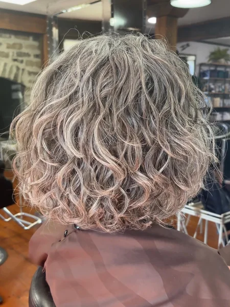 Gray Wavy Bob from the Back