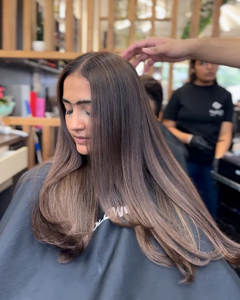 Brunette Long Layers