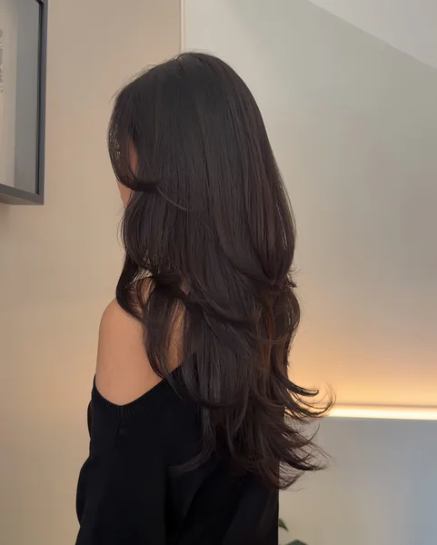 Black Butterfly Layers