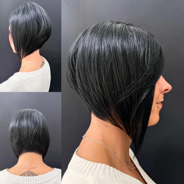 Three View Inverted Bob