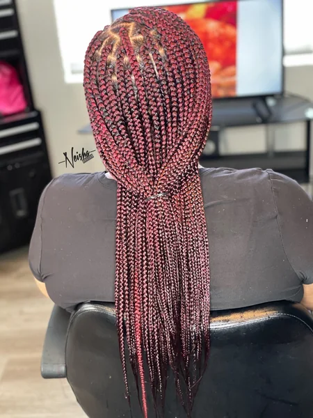 Long Burgundy Box Braids
