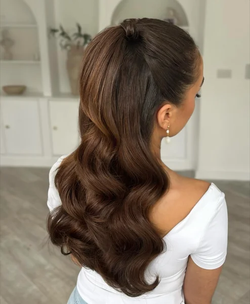 Old Money Sleek Half Up Ponytail