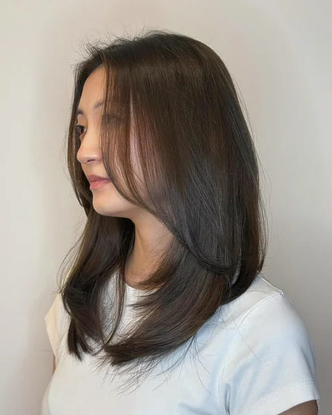 Sleek Long Bob in Deep Brunette