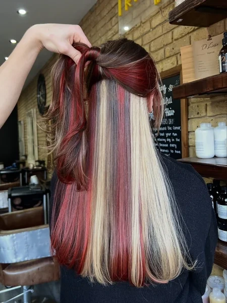 Dark Calico with Red and Blonde Panels Half Up