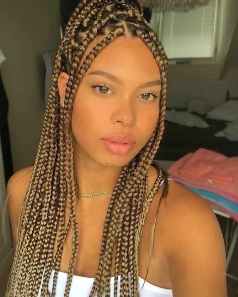 Golden Brown Box Braids with Highlights