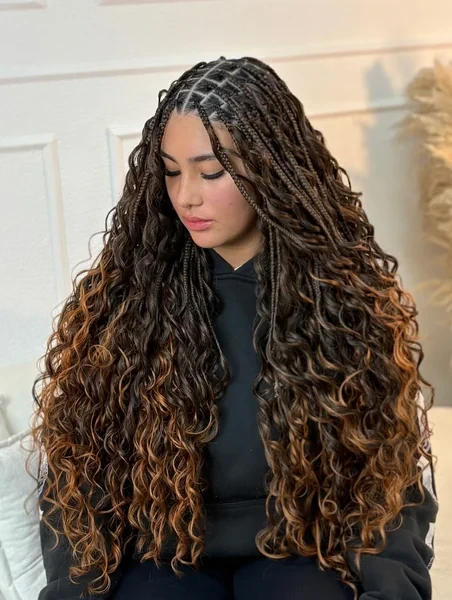 Long Boho Braids With Highlights