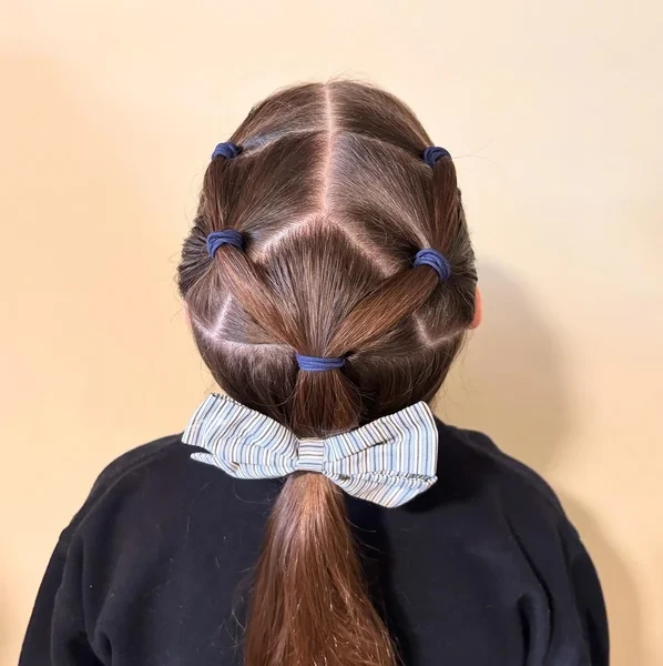 Simple Sectioned Ponytail for School