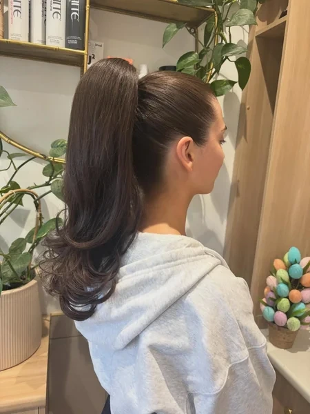 Sleek High Ponytail for the Gym